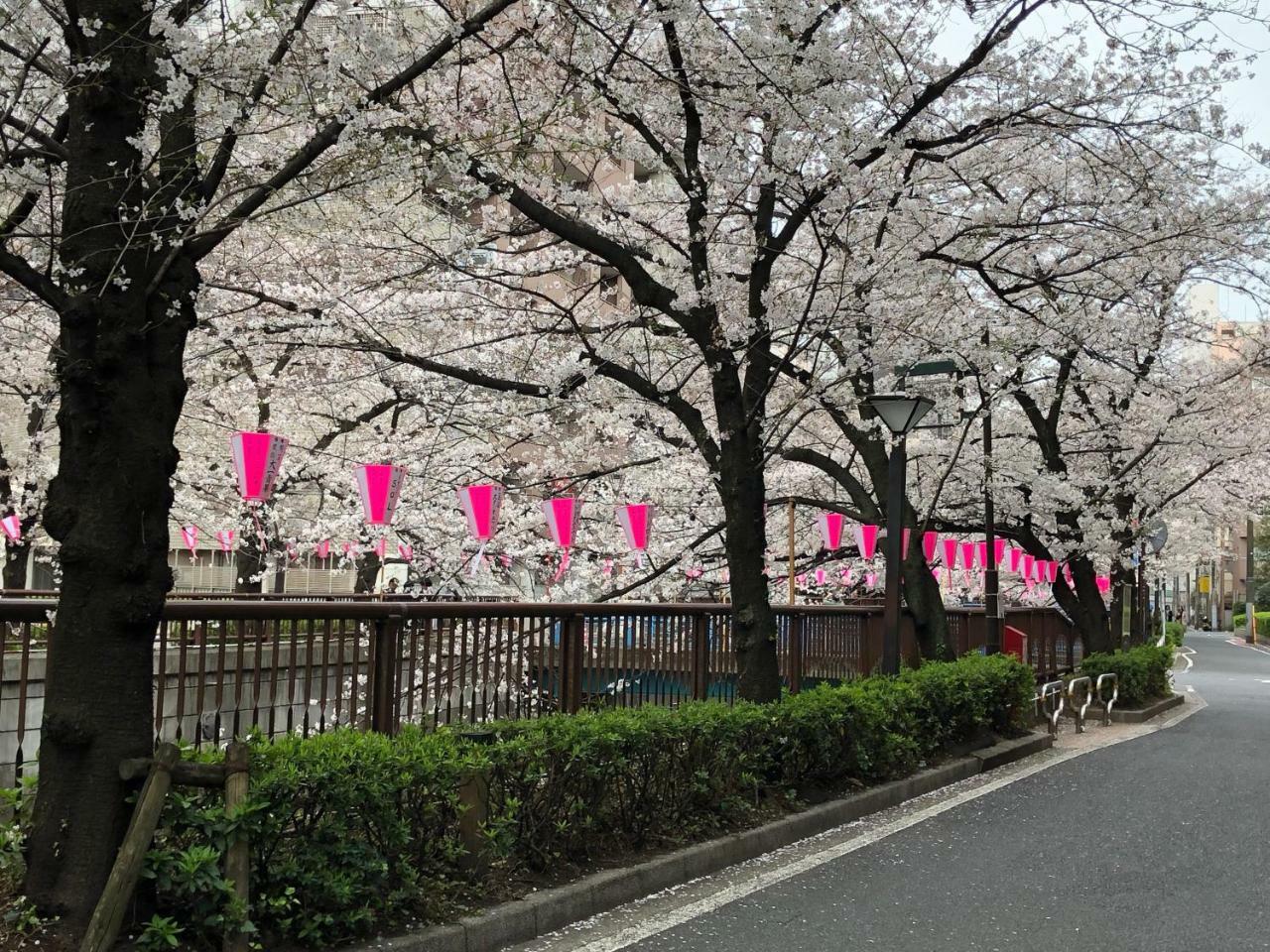 Готель Wander Tokyo Shibuya Екстер'єр фото